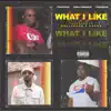 What I Like (feat. 1takequan & Chris O'bannon) - Single album lyrics, reviews, download