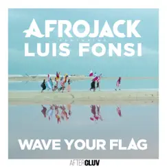 Wave Your Flag (feat. Luis Fonsi) Song Lyrics