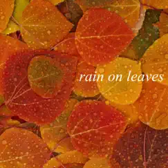 Gentle Sounds Of Rain On Leaves, Pt. 25 Song Lyrics