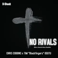 No Rivals (feat. Chris Cobbins & Tim Ogutu) Song Lyrics