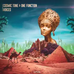 Voices - Single by Cosmic Tone & One Function album reviews, ratings, credits