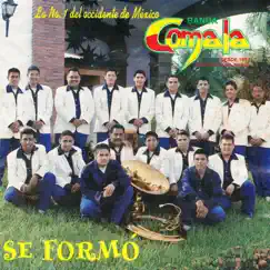 Se Formó by Banda Comala album reviews, ratings, credits