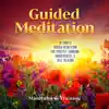 Guided Meditation: Guided Meditation for Positive Thinking, Mindfulness & Self Healing album lyrics, reviews, download