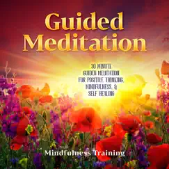 Guided Meditation: Guided Meditation for Positive Thinking, Mindfulness & Self Healing by Mindfulness Training album reviews, ratings, credits