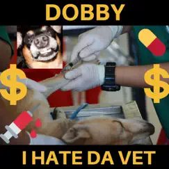 Dobby - I Hate Da Vet Song Lyrics