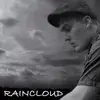 Raincloud (feat. Marcus Mandible) - Single album lyrics, reviews, download