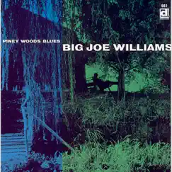 Piney Wood Blues by Big Joe Williams album reviews, ratings, credits