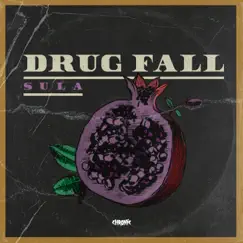 Drug Fall Song Lyrics