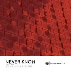 Never Know (Debris Remix) - Single by Declain & Debris album reviews, ratings, credits