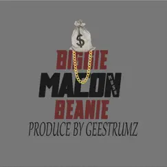 Biggie Beanie - Single by Macon Mush album reviews, ratings, credits