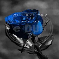 Without You (feat. Breana Marin) - Single by E-DUB album reviews, ratings, credits
