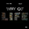 Way of Life (feat. Smurf) - Single album lyrics, reviews, download