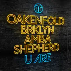 U Are (feat. BRKLYN & Amba Shepherd) - Single by Paul Oakenfold album reviews, ratings, credits