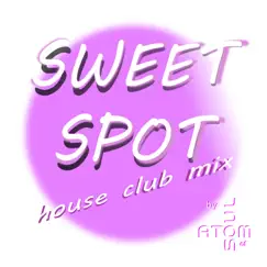 Sweet Spot (House Club Mix) Song Lyrics