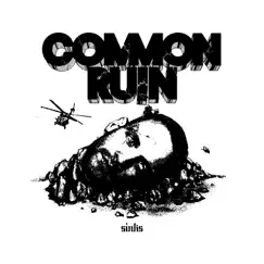 Common Ruin by Sinks album reviews, ratings, credits