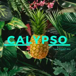 Calypso - EP by Iamyoungaye album reviews, ratings, credits