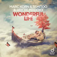 Wonderful Life (Steve Modana Radio Edit) Song Lyrics
