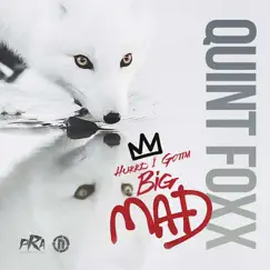Big Mad - Single by Quint Foxx album reviews, ratings, credits