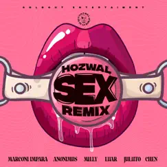 Sex (Remix) [feat. Marconi Impara, Anonimus, Milly, Luar, Juliito & Chen] - Single by Hozwal album reviews, ratings, credits