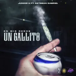 En Mis Dedos un Gallito (feat. Esteban Gabriel) Song Lyrics