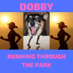 Dobby - Running Through the Park Song Lyrics