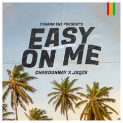 Easy On Me (Reggae Remix) Song Lyrics