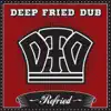 Everyday (Deep Fried Dub Mix) song lyrics