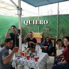 Quiero (Remix) [feat. Clandestino] - Single by Fix DBA album reviews, ratings, credits