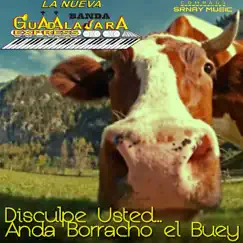 Disculpe Usted... Anda Borracho el Buey by La Nueva Banda Guadalajara Express album reviews, ratings, credits