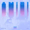 Amiri (feat. Lil D) - Single album lyrics, reviews, download