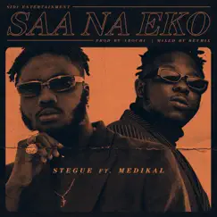 Saa Na Eko (feat. Medikal) Song Lyrics