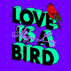 Love Is a Bird - Single by Allegra Levy album reviews, ratings, credits