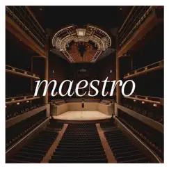 Maestro - Single by Tanomura album reviews, ratings, credits