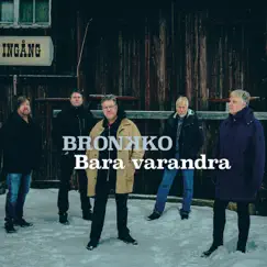 Bara varandra Song Lyrics