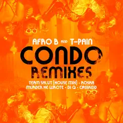 Condo (feat. T-Pain) [Remix] Song Lyrics