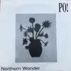 Northern Wonder - Single album lyrics, reviews, download