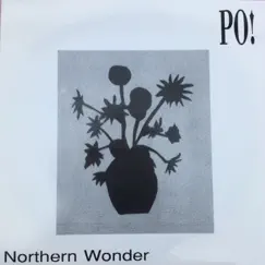 Northern Wonder - Single by Po! album reviews, ratings, credits