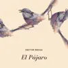 El Pájaro - Single album lyrics, reviews, download