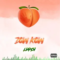 Zow Kow Song Lyrics