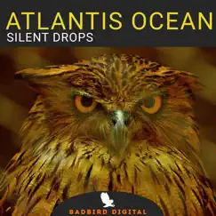 Silent Drops - EP by Atlantis Ocean album reviews, ratings, credits