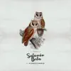 Sígueme (feat. Vicente Garcia) - Single album lyrics, reviews, download