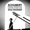 Schubert: Piano Sonatas D. 845, D. 894, D. 958, D. 960 album lyrics, reviews, download