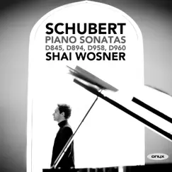 Schubert: Piano Sonatas D. 845, D. 894, D. 958, D. 960 by Shai Wosner album reviews, ratings, credits