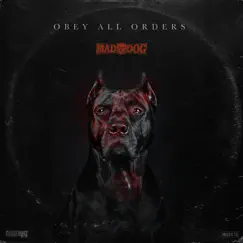 Obey All Orders - Single by DJ Mad Dog album reviews, ratings, credits