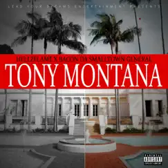 Tony Montana Song Lyrics