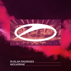 Wolverine (Extended Mix) Song Lyrics