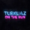 On the Run - Single album lyrics, reviews, download