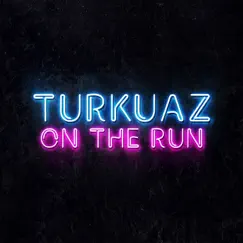 On the Run - Single by Turkuaz album reviews, ratings, credits