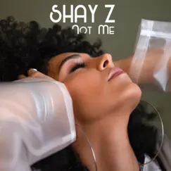 Not Me (Radio Edit) - Single by Shay Z album reviews, ratings, credits