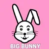 Island of Love (Big Bunny Remix) song lyrics